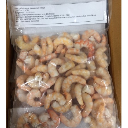 GAMB.S/GUSCIO SCOTT. INDIA 21/40 750GR